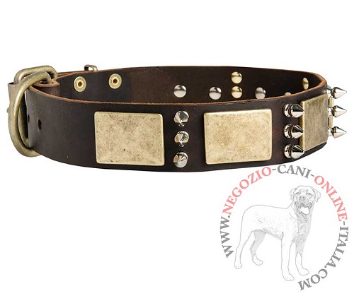 Collare decorato per uscite elegani con Bullmastiff