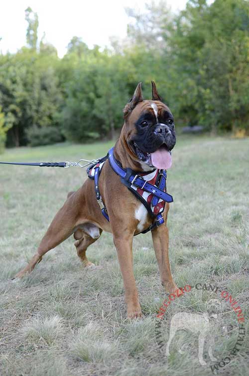 Pettorina in cuoio naturale decorata
a bandiera americana per cane