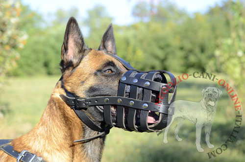 Museruola a cestello in pelle naturale per
Malinois