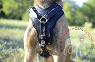 Pettorina rinforzata in pelle naturale per Malinois Pettorina rinforzata in pelle naturale per Malinois