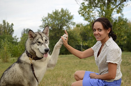 Guinzaglio Good spirits per passeggiate con Malamute