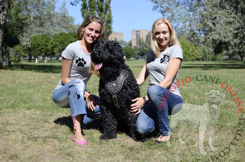 Terrier Nero Russo con bellissima pettorina decorata
indosso