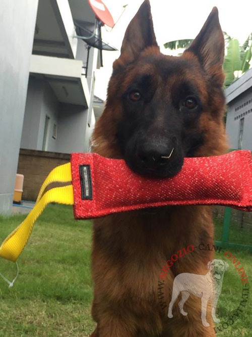 Riporto da mordere in Tela Francese con maniglia per
cane