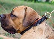 Collare a strozzo con striscia intrecciata per Cane Corso