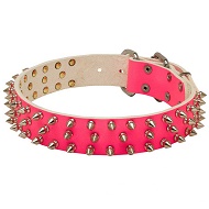 Collare rosa borchiato "Spiked Holiday Collar Pink" per cani