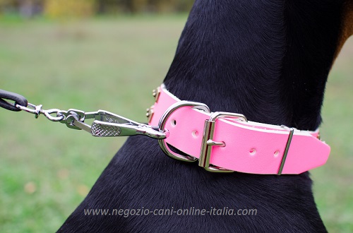 Il collare in pelle rosa è molto comodo e pratico