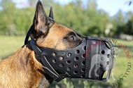 Museruola rinforzata in pelle "Attack Training" per Malinois