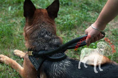 Pettorina per Pastore Tedesco dotata di una lunga maniglia staccabile