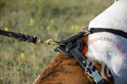 Pettorina in pelle
naturale indossata su Bulldog Americano