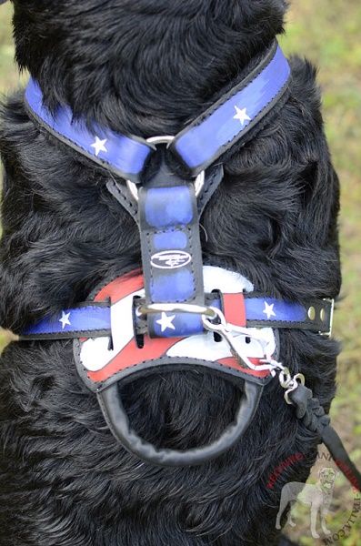 Pettorina in cuoio naturale decorata
a bandiera americana per cane