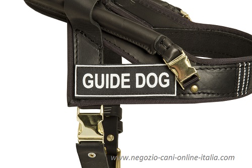 Pettorina per cane guida è dotata di scritta speciale