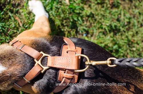 Pettorina in pelle con decorazioni attaccata al
guinzaglio