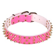 Collare rosa con borchie dorate "Pick Happiness" per cani