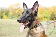 Collare decorato "Twice as Nice" in pelle per Malinois