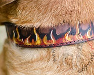 Collare in cuoio con disegno di fuoco per Dogue de Bordeaux Collare in cuoio con disegno di fuoco per Dogue de Bordeaux