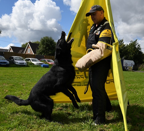 Manica per la preparazione a Schutzhund con fodera