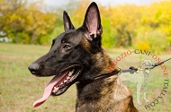 Collare in pelle arrotondata con decorazioni per Malinois, 6 mm