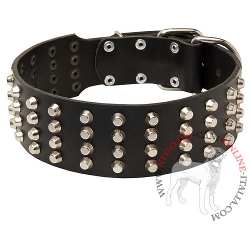 Collare in pelle largo Studded Gift per Alaskan Malamute