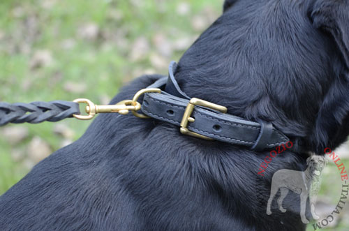 Bellissimo e comodo collare con decorazioni
per Rotweiler