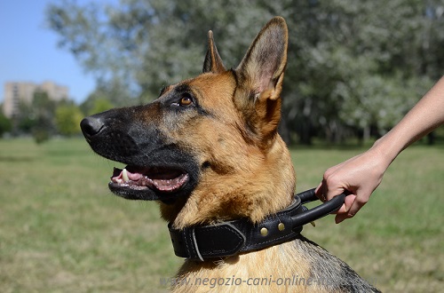 Resistente e comodo collare in doppio strato di pelle per
cani grandi