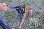 Straccetto da mordere in tela francese per Malinois Straccetto da mordere in tela francese per Malinois