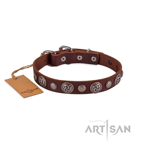 FDT Artisan - Collare con borchie rotonde argentate per cane