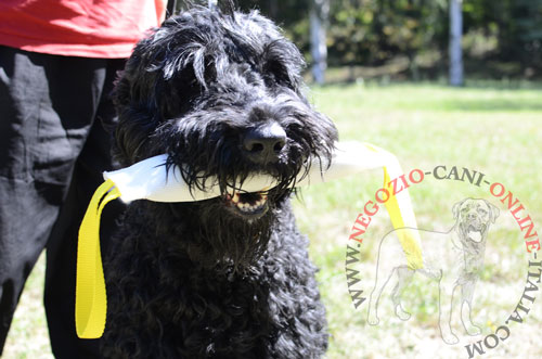 Salamotto da mordere per Terrier Nero Russo