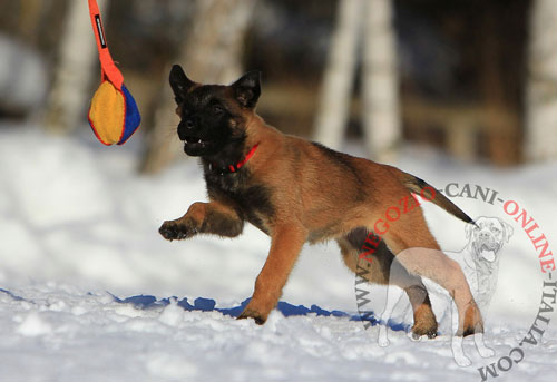 Riporto da mordere Plaything con maniglia per cane giovane