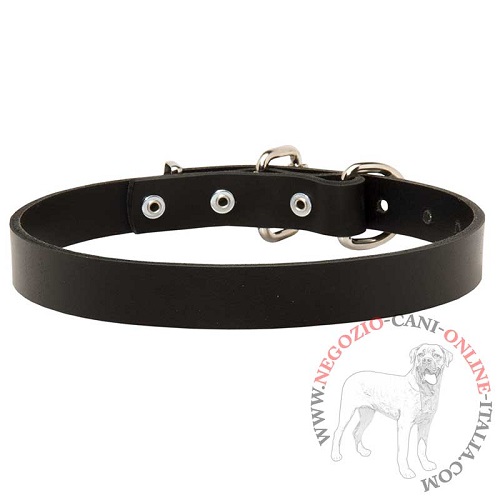 Collare in cuoio Noble Pet largo 25 mm per Malinois