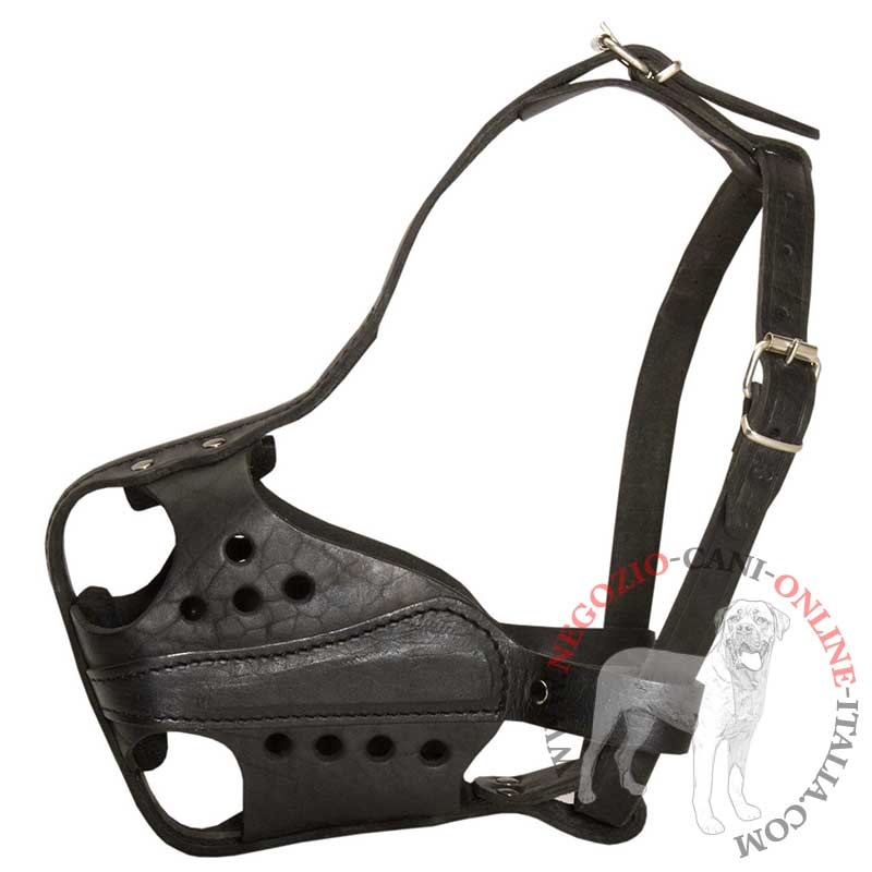 Museruola per cani grandi, medi e piccoli Musruola leggera in cuoio per  tutte le razze di cani [M41##1061 Museruola in cuoio] - €42.90 :  fordogtrainers, negozio per cani, accessori per cani, articoli