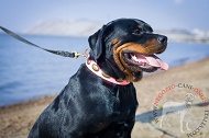 Collare in vera pelle rosa "Eccentric Style" per Rottweiler