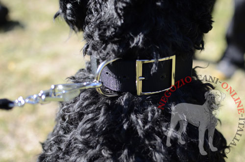 Collare doppio in nylon per Terrier Nero Russo