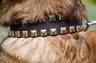 Collare in pelle con decorazioni "Gift from Egypt" per Malinois Collare in pelle con decorazioni "Gift from Egypt" per Malinois