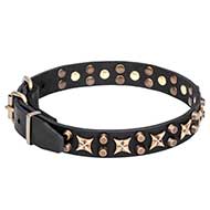 Collare in vero cuoio "Hollywood Star" per cane, largo 3 cm