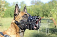 Confortevole museruola in pelle "Maximum Safety" per Malinois