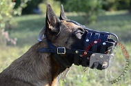 Museruola in vero cuoio "Managing Dog's Behavior" per Malinois Museruola in vero cuoio "Managing Dog's Behavior" per Malinois