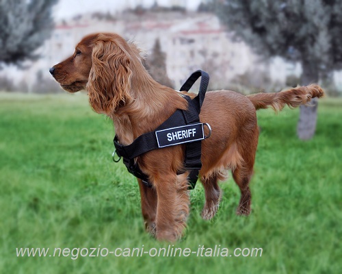 Pratica pettorina in nylon per cane