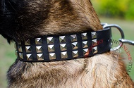 Collare in pelle con piramidi "Premium Finery" per Malinois