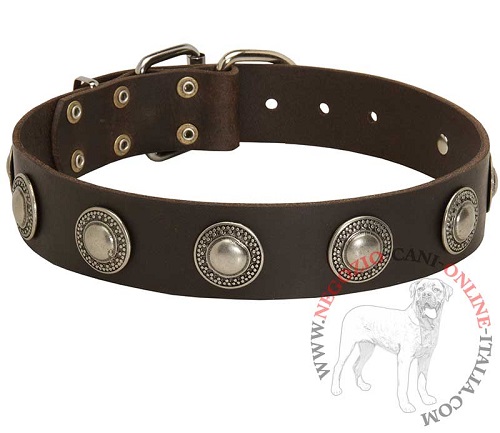 Collare in vera pelle con decorazioni True Jewel per Malinois