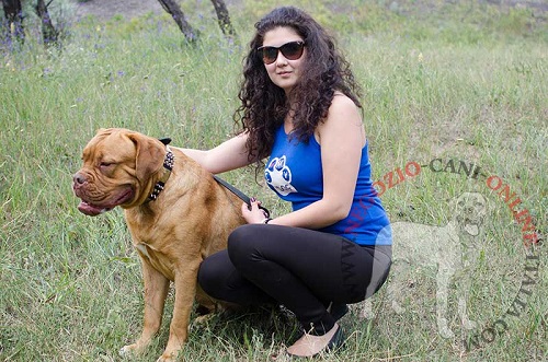 Collare per passeggiate con Dogue de Bordeaux