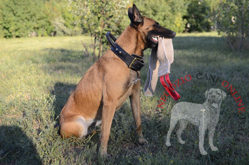 Straccetto da mordere in juta per
giochi e addestramento del cane giovane