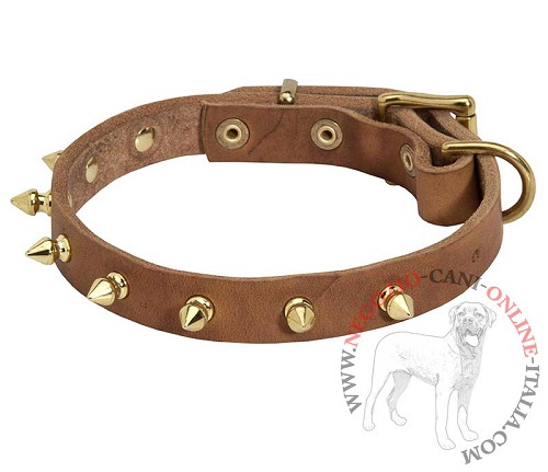 Collare in cuoio con borchie in ottone per Malinois