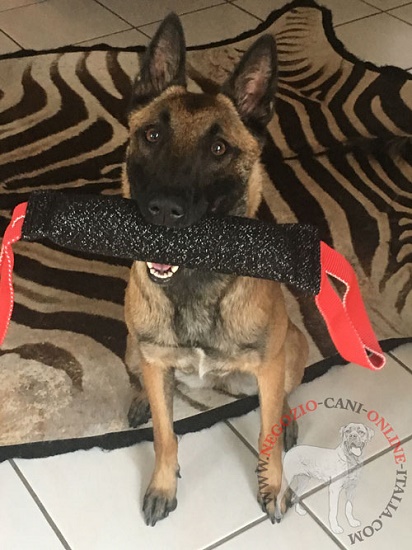 Salamotto da mordere in Tela Francese per Malinois