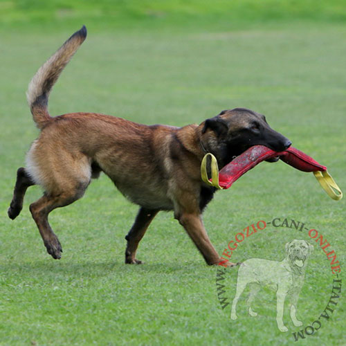 Tug da mordere in Tela Francese
per giochi con il cane attivo