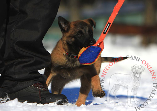 Tug da mordere in Tela Francese per l'addestramento
del cane