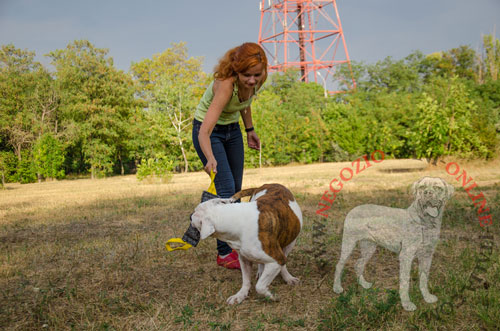 Comodo riporto da mordere in Tela Francese con
due maniglie per cane