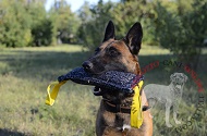 Riporto da mordere in tela francese per Malinois