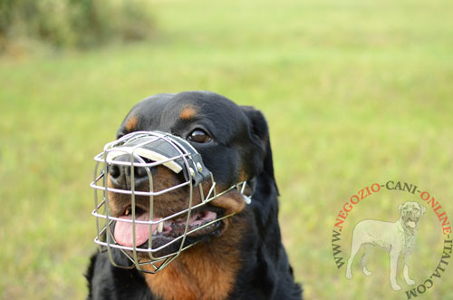 Museruola a cestello perfetta per cani di taglia piccola,
media e grande