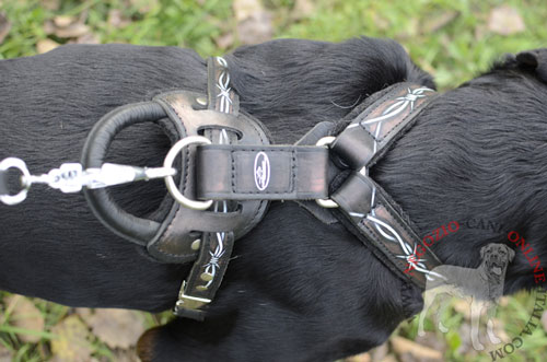 Pettorina per Rottweiler dotata di una comoda maniglia