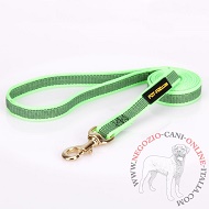 Guinzaglio di colore verde in nylon gommato per cane